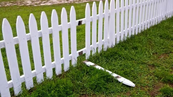 The Service Economy: A Shift from Goods 🛍️ to Services 👩‍🔧